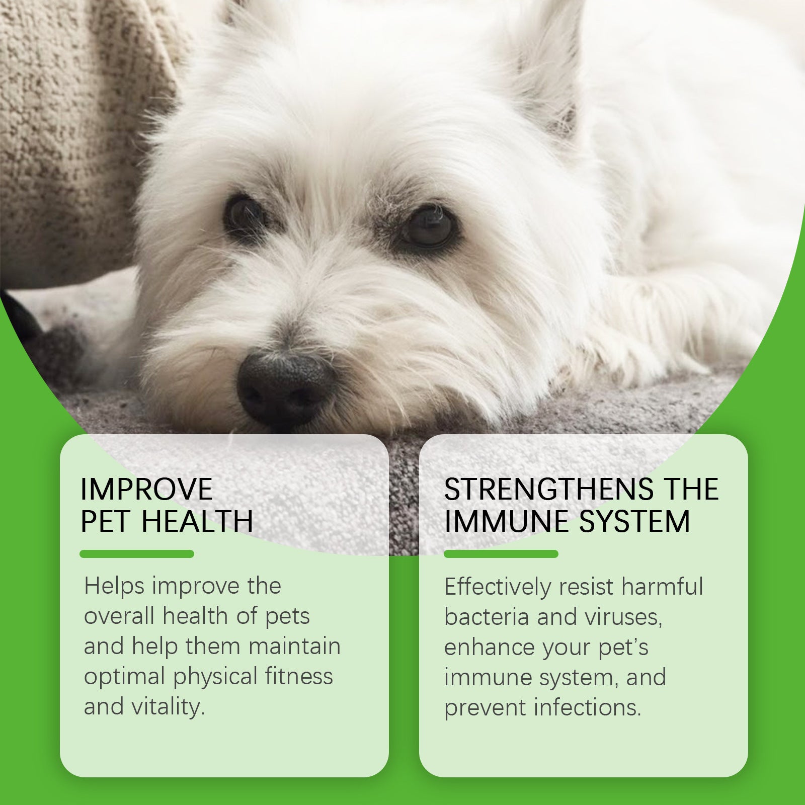 Dietary Supplements For Pets And Dogs - PawLux1
