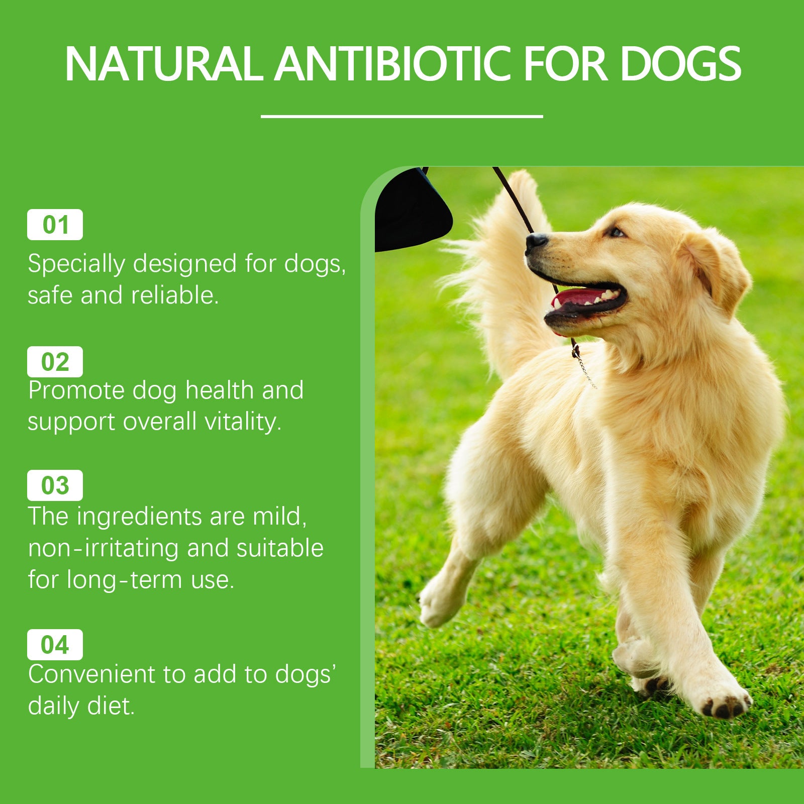 Dietary Supplements For Pets And Dogs - PawLux1