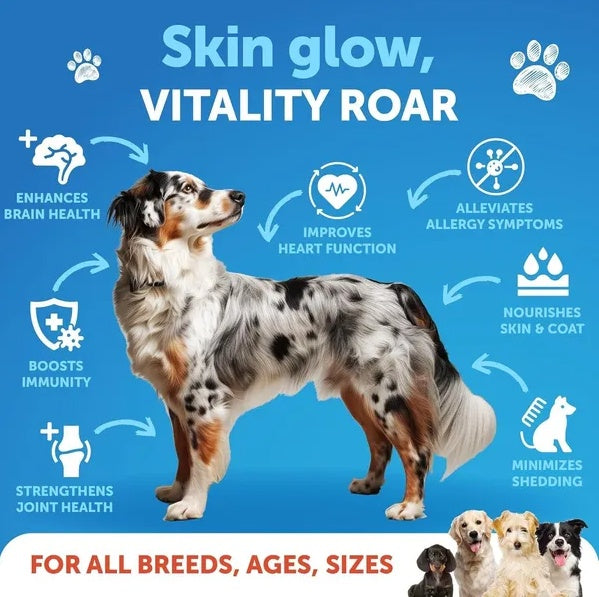 Salmon Oil For Dogs 3 For Dogs 8 FL OZ Wild Alaskan Salmon Fish Oil - PawLux1