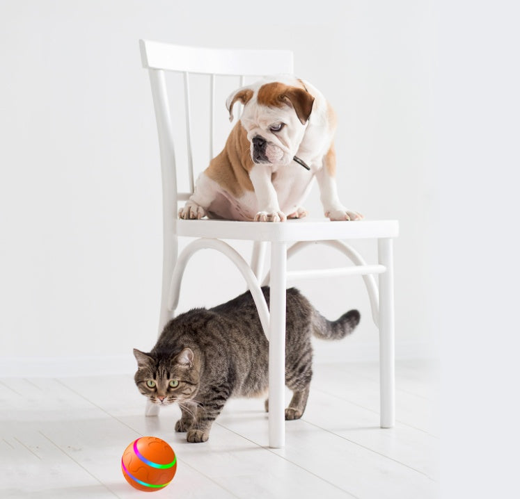 Pet New Cat Wicked Ball Toy Intelligent Ball USB Cat Toys Self Rotating Ball Automatic Rotation Ball - PawLux1