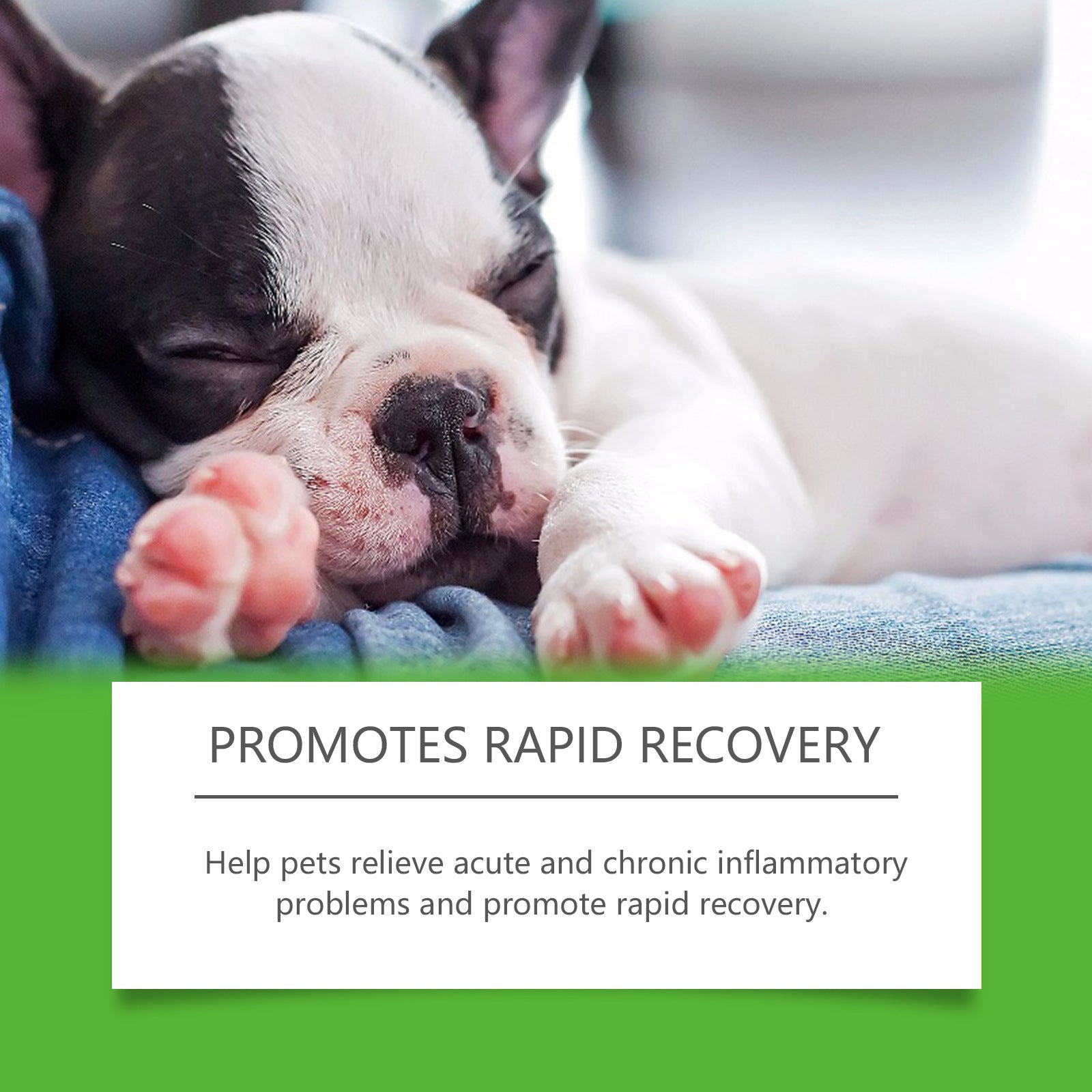 Dietary Supplements For Pets And Dogs - PawLux1